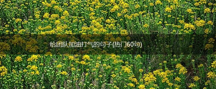 给团队加油打气的句子(热门60句),第1张