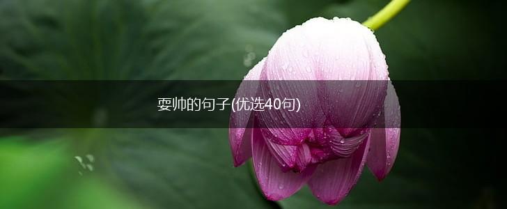 耍帅的句子(优选40句),第1张