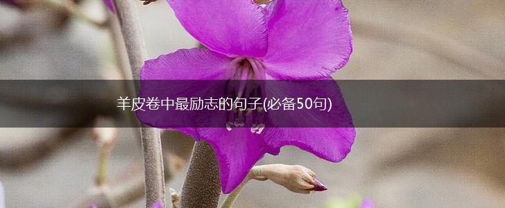 羊皮卷中最励志的句子(必备50句),第1张