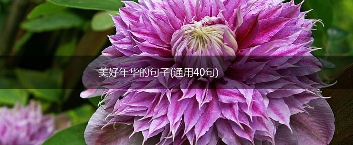 美好年华的句子(通用40句),第1张