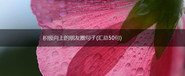 积极向上的朋友圈句子(汇总50句),第1张