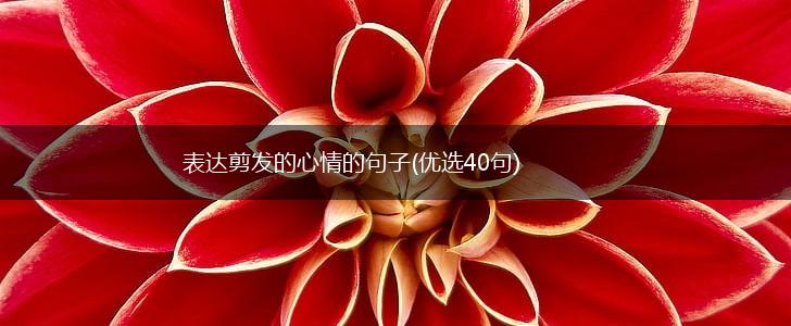 表达剪发的心情的句子(优选40句),第1张