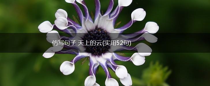 仿写句子 天上的云(实用52句),第1张