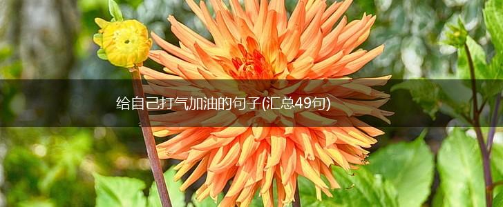 给自己打气加油的句子(汇总49句),第1张