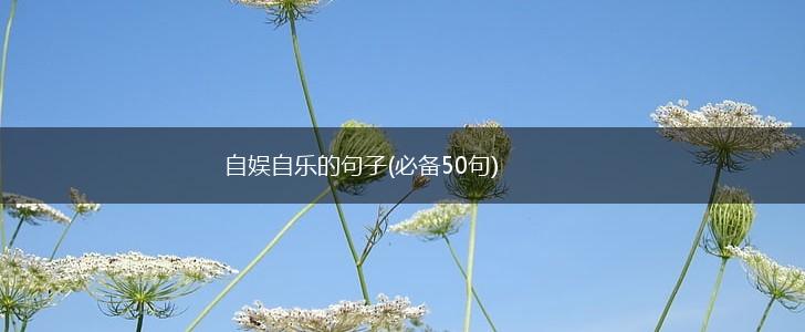 自娱自乐的句子(必备50句),第1张
