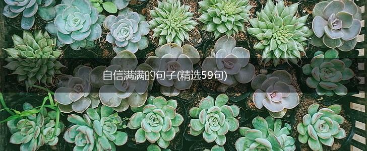 自信满满的句子(精选59句),第1张