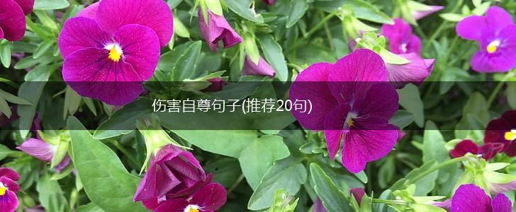 伤害自尊句子(推荐20句),第1张