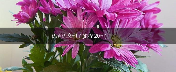 优秀语文句子(必备20句),第1张