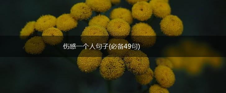伤感一个人句子(必备49句),第1张