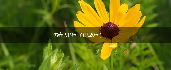 仿春天的句子(共20句),第1张