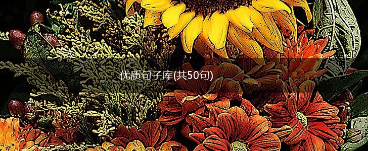 优质句子库(共50句),第1张