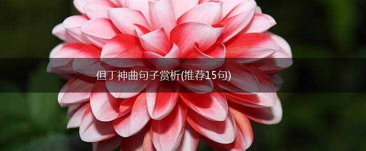 但丁神曲句子赏析(推荐15句),第1张