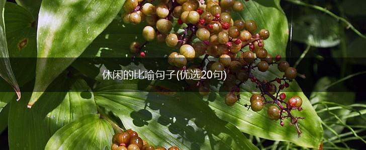 休闲的比喻句子(优选20句),第1张