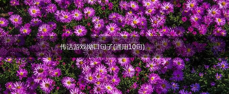 传话游戏拗口句子(通用10句),第1张