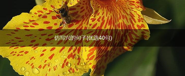 仿写兴的句子(优选40句),第1张