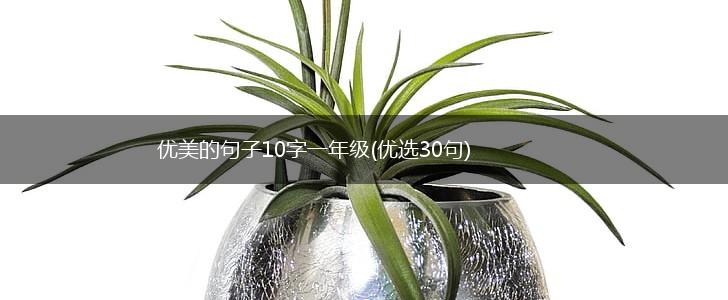 优美的句子10字一年级(优选30句),第1张