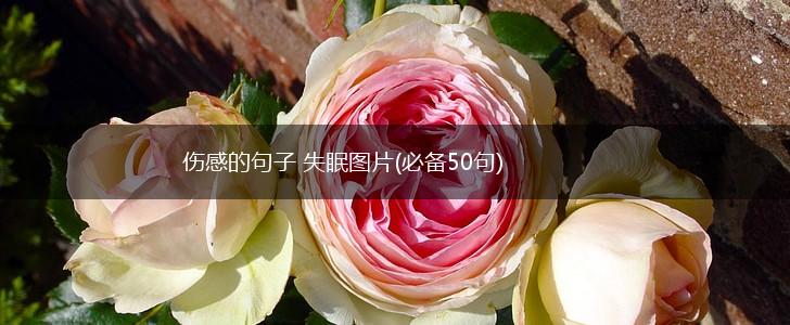 伤感的句子 失眠图片(必备50句),第1张