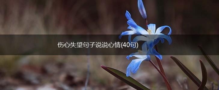 伤心失望句子说说心情(40句),第1张