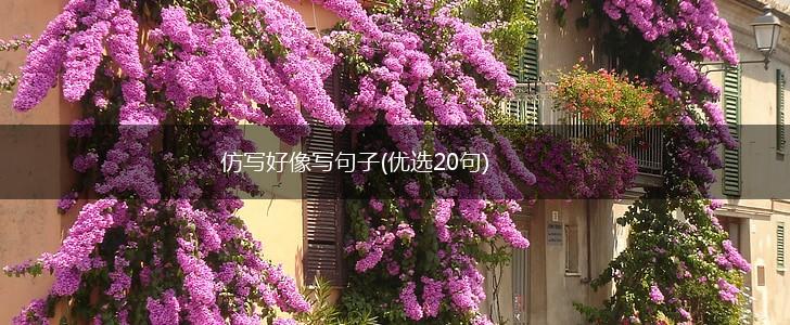 仿写好像写句子(优选20句),第1张