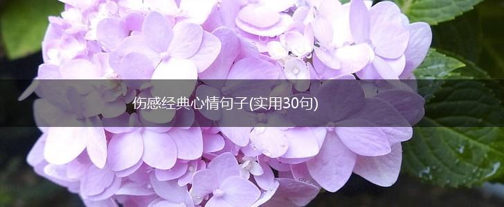 伤感经典心情句子(实用30句),第1张