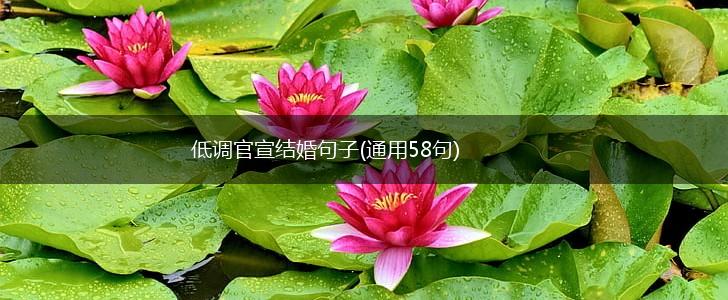 低调官宣结婚句子(通用58句),第1张