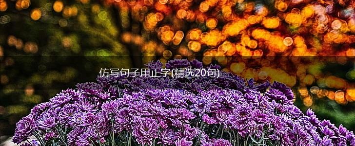 仿写句子用正字(精选20句),第1张