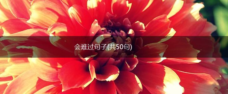 会难过句子(共50句),第1张