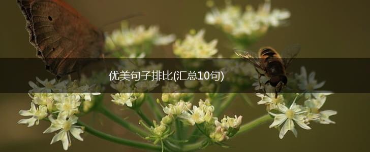 优美句子排比(汇总10句),第1张