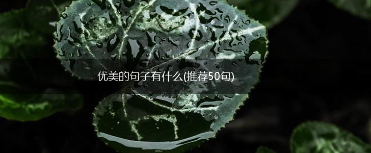 优美的句子有什么(推荐50句),第1张