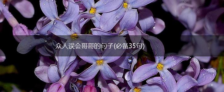 众人误会哥哥的句子(必备35句),第1张