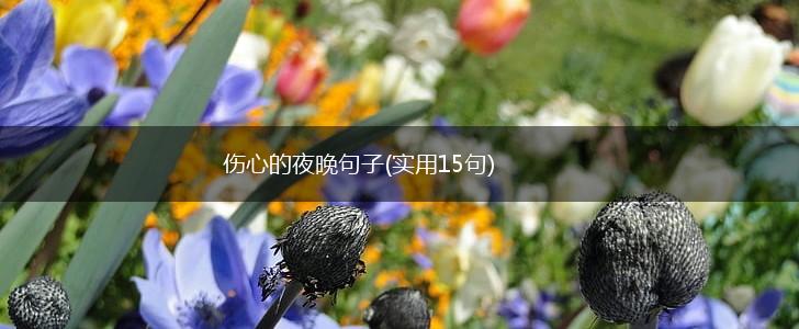 伤心的夜晚句子(实用15句),第1张