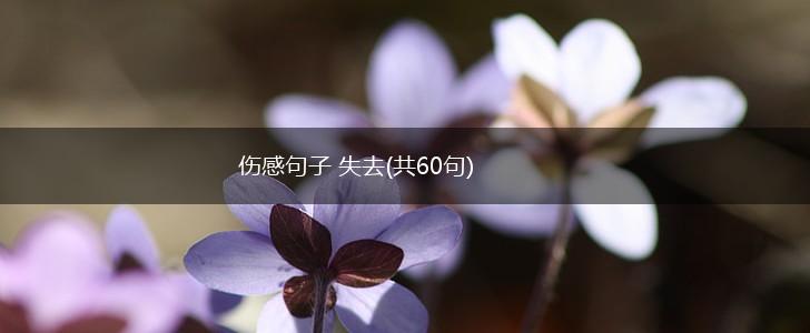 伤感句子 失去(共60句),第1张