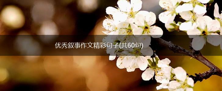 优秀叙事作文精彩句子(共60句),第1张