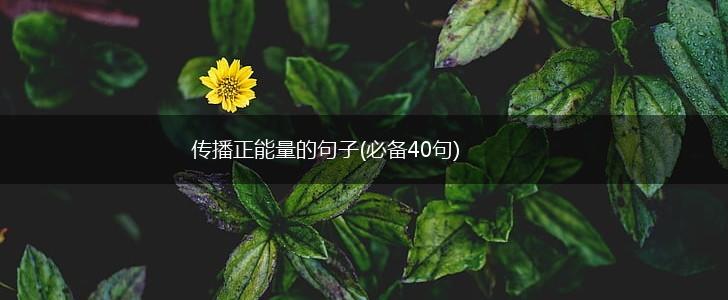 传播正能量的句子(必备40句),第1张