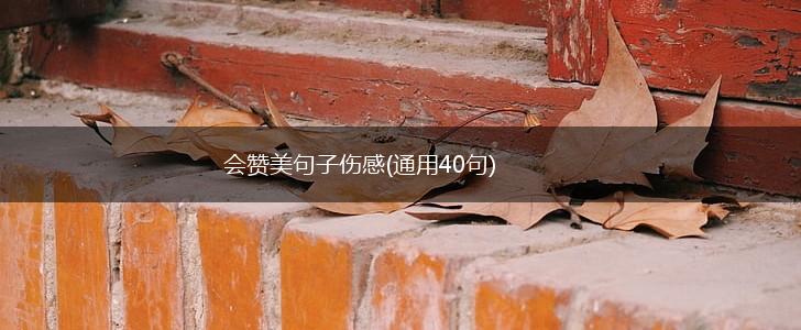 会赞美句子伤感(通用40句),第1张