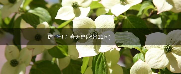 仿写句子 春天是(必备11句),第1张