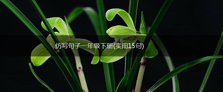 仿写句子一年级下册(实用15句),第1张