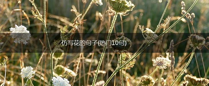 仿写花的句子(热门10句),第1张