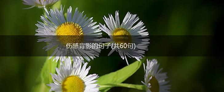 伤感背影的句子(共60句),第1张
