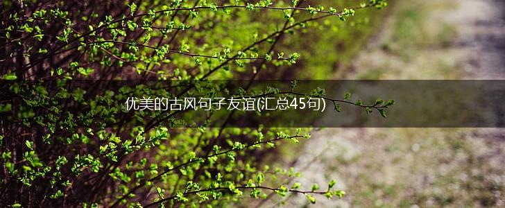 优美的古风句子友谊(汇总45句),第1张