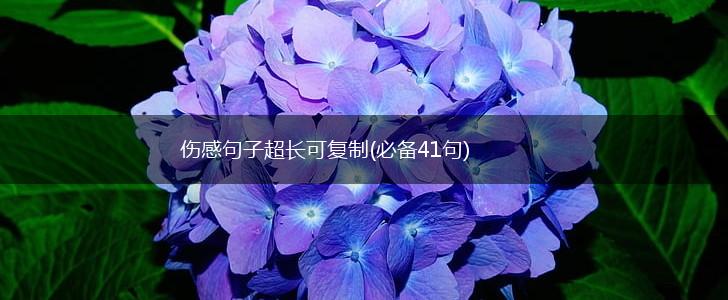 伤感句子超长可复制(必备41句),第1张