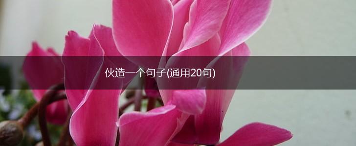 伙造一个句子(通用20句),第1张