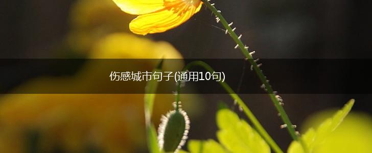 伤感城市句子(通用10句),第1张