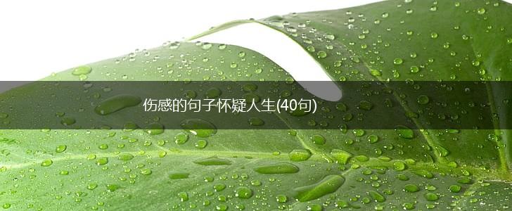 伤感的句子怀疑人生(40句),第1张