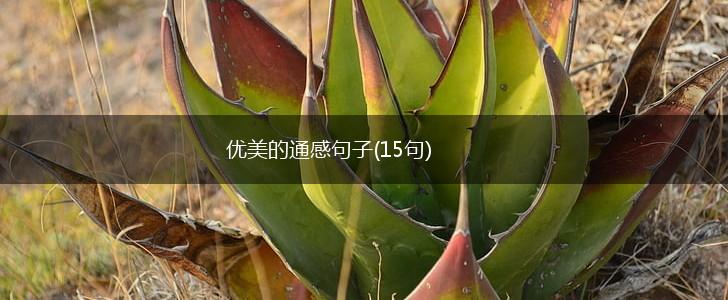 优美的通感句子(15句),第1张
