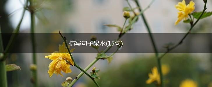 仿写句子泉水(15句),第1张