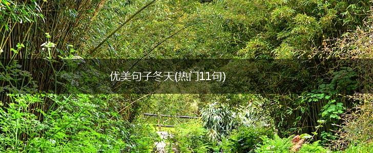 优美句子冬天(热门11句),第1张