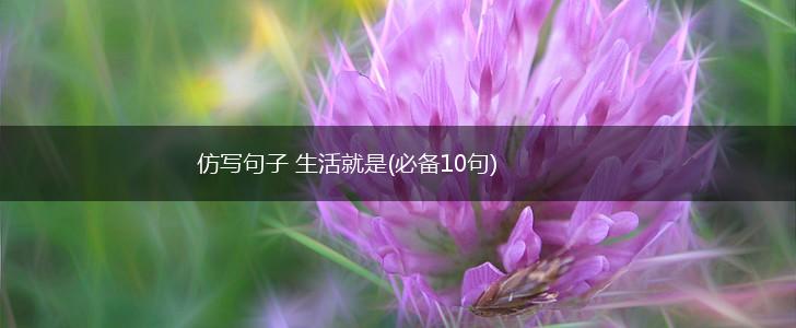 仿写句子 生活就是(必备10句),第1张