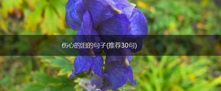 伤心的泪的句子(推荐30句),第1张