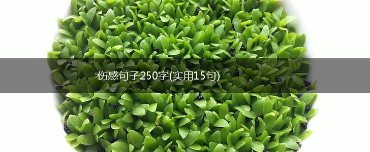 伤感句子250字(实用15句),第1张